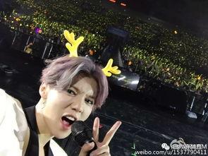 娱乐吃瓜鹿晗,娱乐界的瓜王，揭秘明星背后的故事