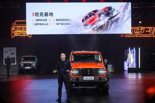 国产精品300,匠心独运，品质卓越的国产佳作盘点