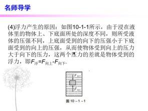 浮力第17页国产